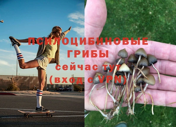 синтетический гашиш Алексин