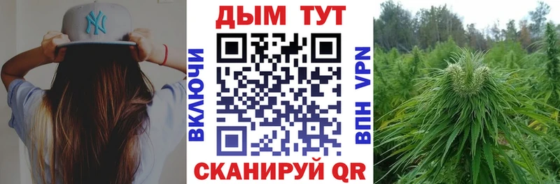Шишки марихуана гибрид  Сыктывкар 